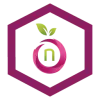 Namefruits Logo
