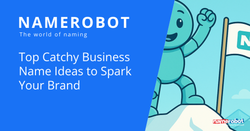 Namero celebrates on a mountain peak next to a flag marked with “N”, alongside the text “Top Catchy Business Name Ideas to Spark Your Brand” – symbolizing creative inspiration and the impact of memorable brand names.