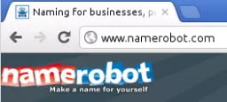 NameRobot's web addres