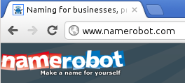 NameRobot's web addres