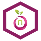 Namefruits Logo